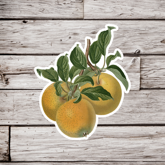 Yellow Apples Sticker