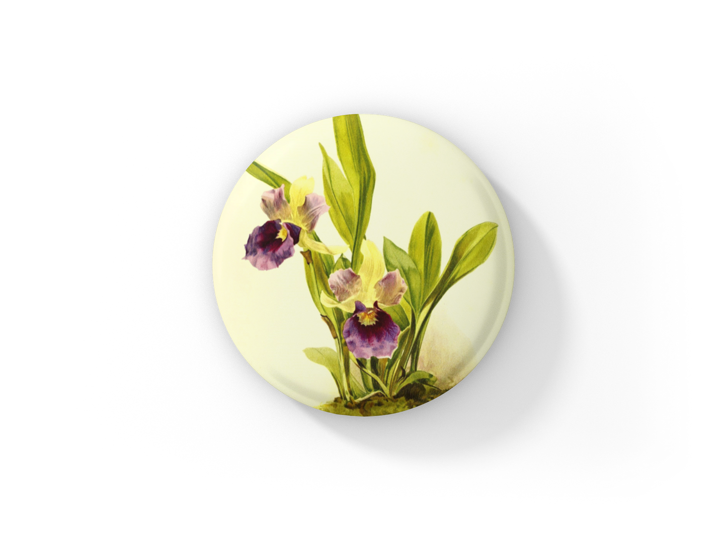 Zygopetalum Orchid Flower Orchid Pin Back Button, Magnet, Keychain