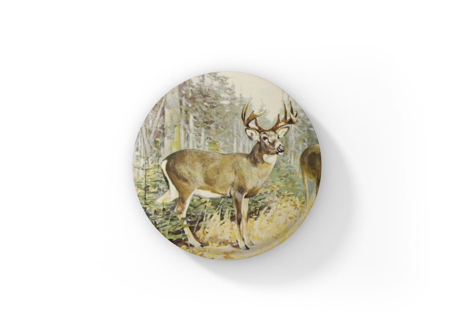 White Tail Deer Pin Back Button