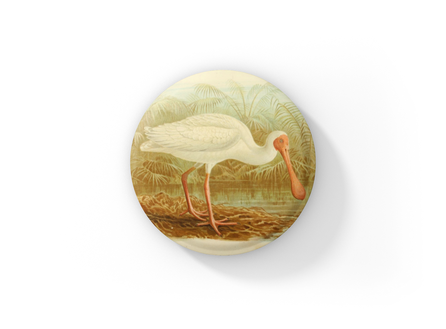 Spoonbill Pin Back Button, Magnet, Keychain