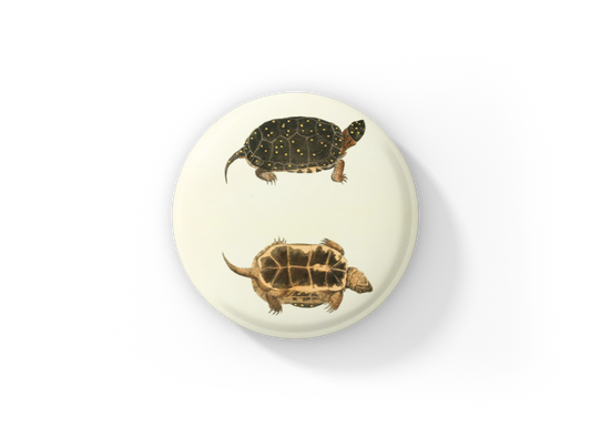 Spotted Turtle Pin Back Button