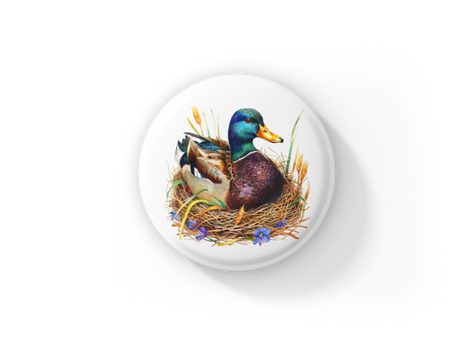 Mallard 1 Pin Back Button, Magnet
