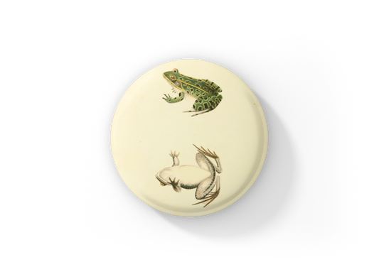 Leopard Frog Pin Back Button
