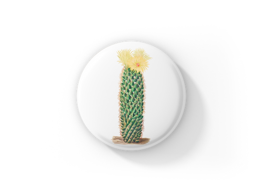 Cactus Pin Back Button, Magnet, Keychain