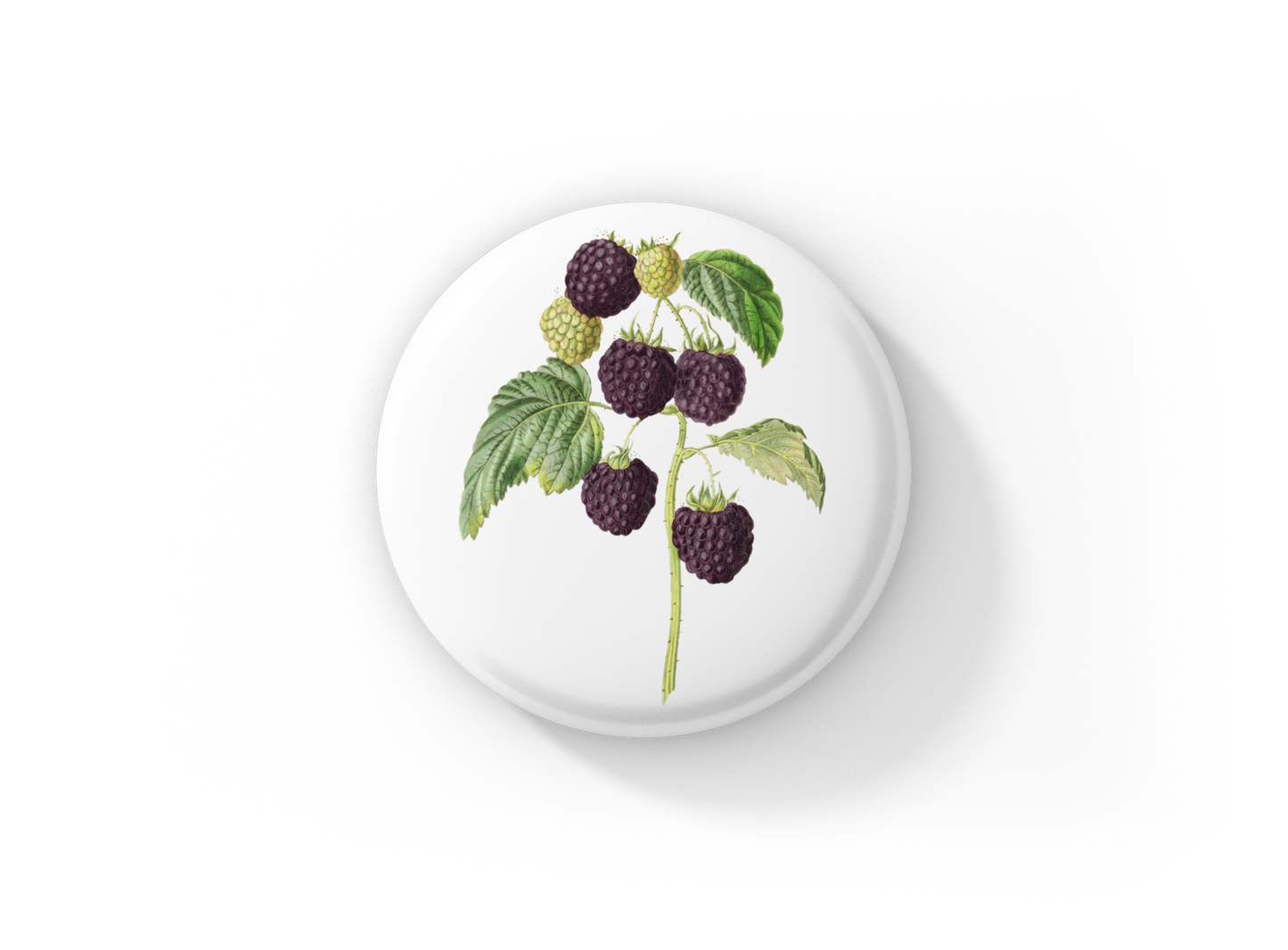 Blackberry Pin Back Button, Magnet, Keychain