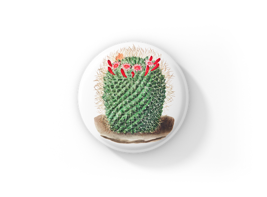 Cactus Pin Back Button, Magnet, Keychain