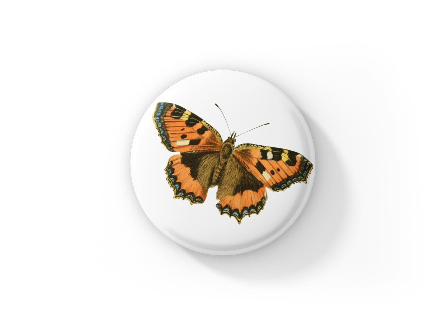 Butterfly Pin Back Button, Magnet, Keychain