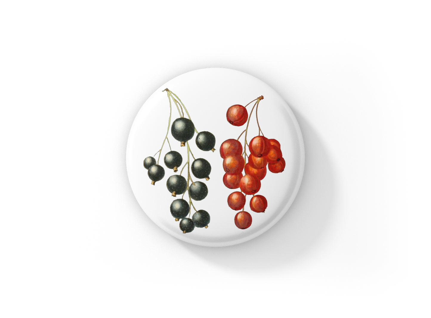 Currant Pin Back Button, Magnet, Keychain
