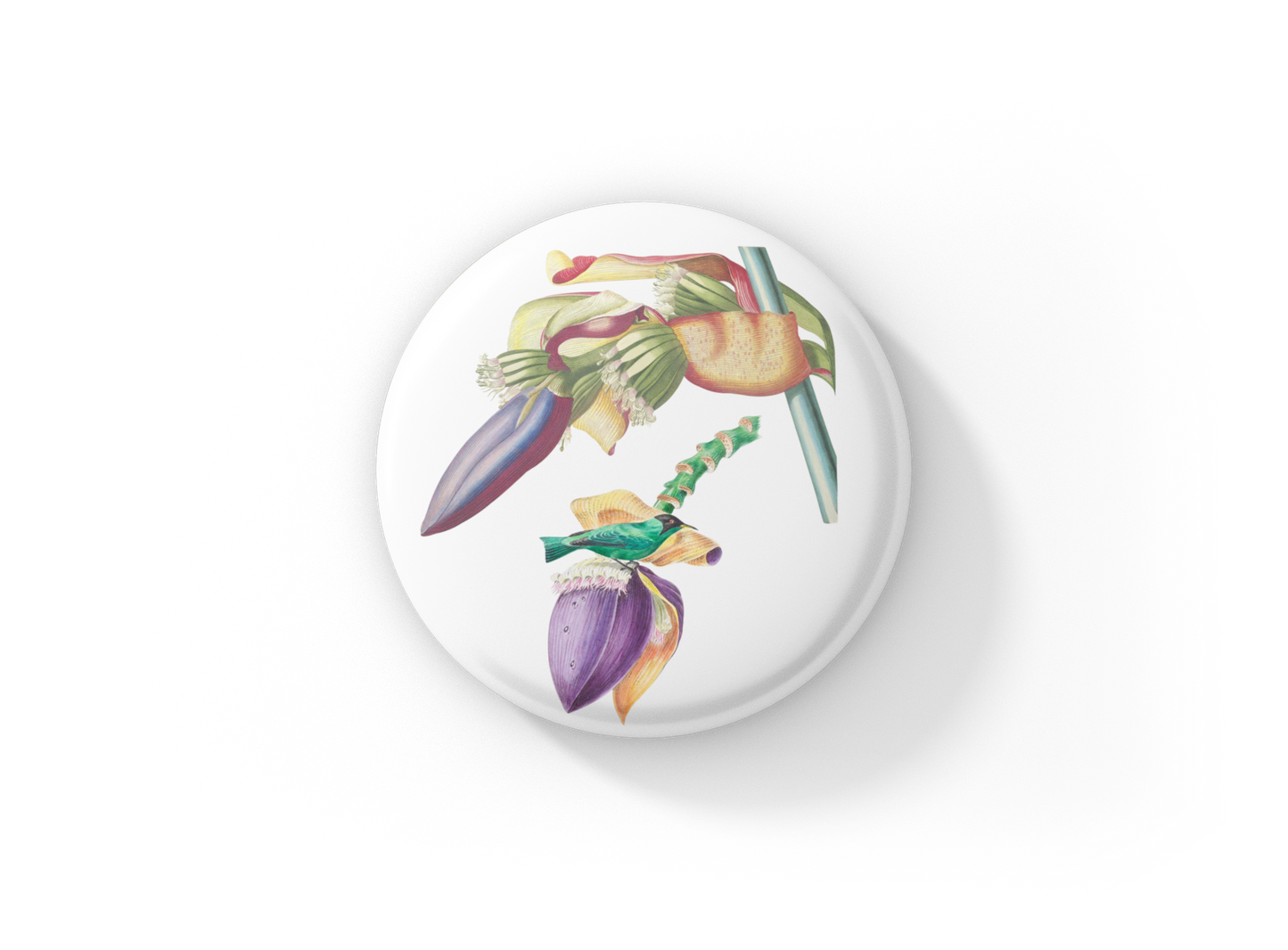 Banana Fruit Pin Back Button, Magnet, Keychain