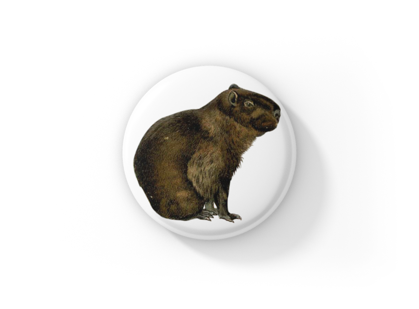 Capybara Pin Back Button, Magnet, Keychain