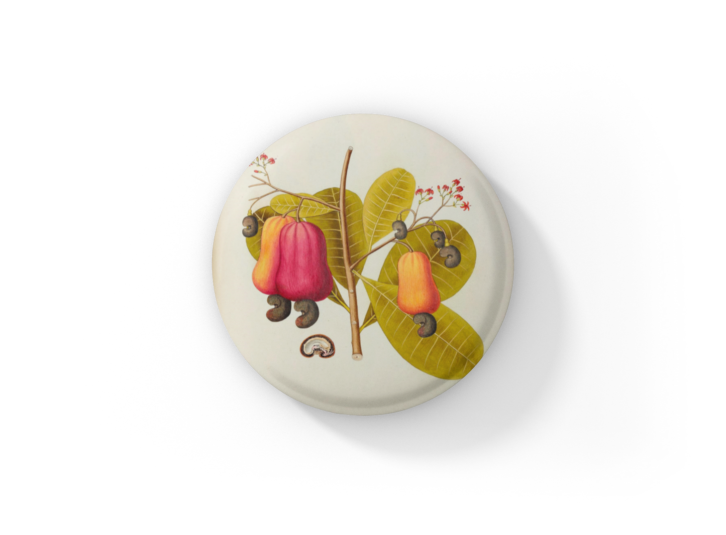 Cashew Plant Pin Back Button