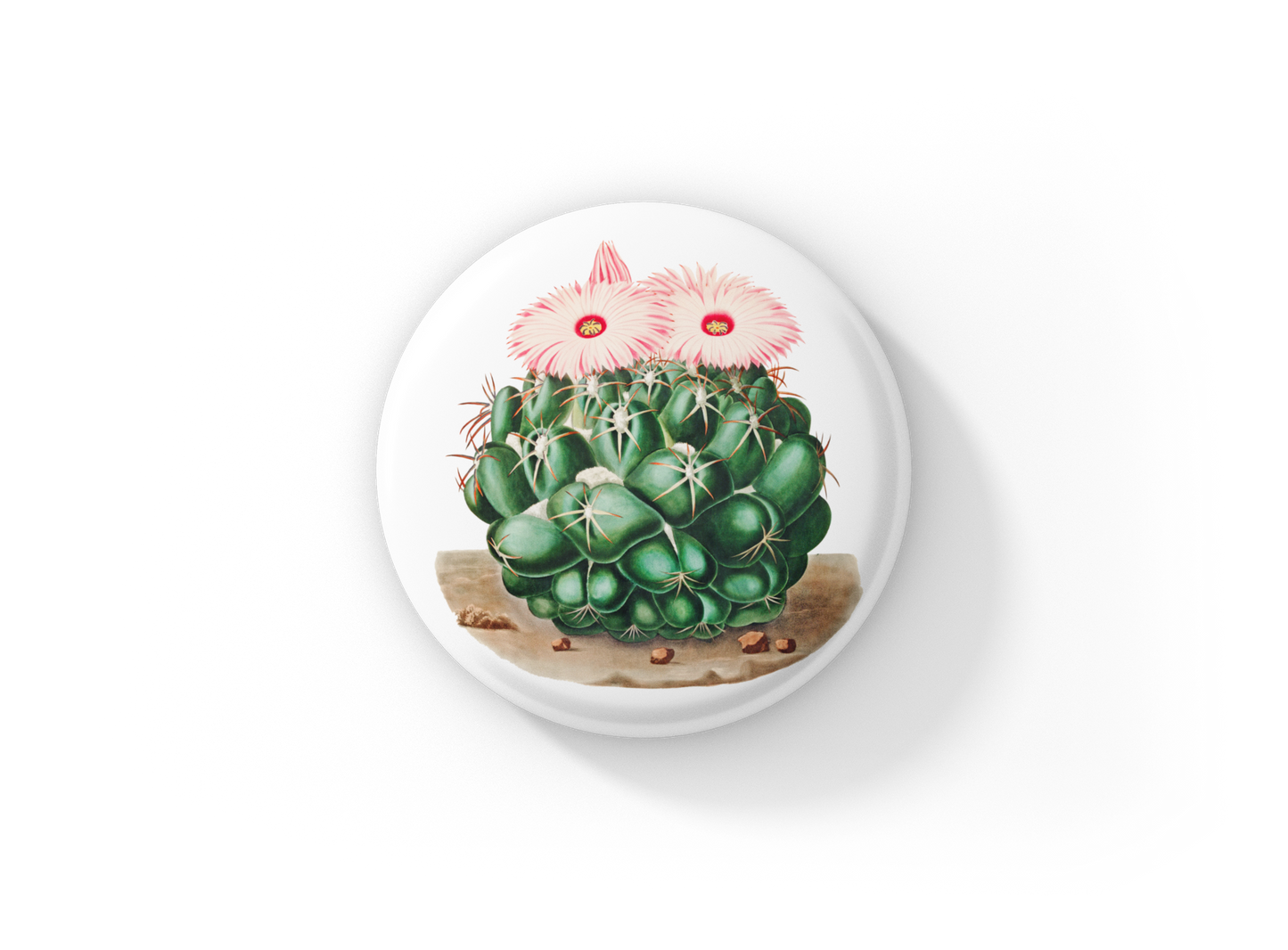 Cactus Pin Back Button, Magnet, Keychain