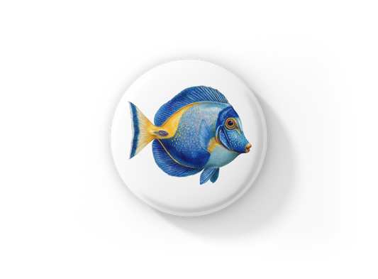 Blue Tang Tropical Fish Pin Back Button, Magnet