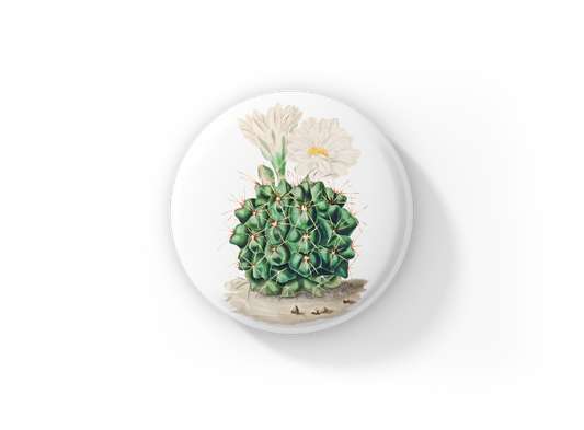 Cactus Pin Back Button, Magnet, Keychain