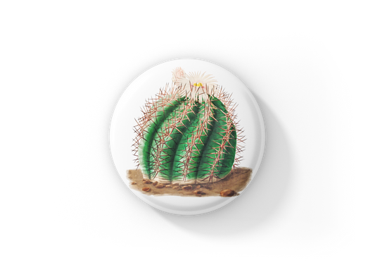 Cactus Pin Back Button, Magnet, Keychain