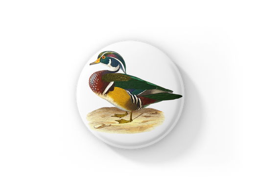 Wood Duck Pin Back Button