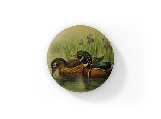 Wood Duck Pin Back Button