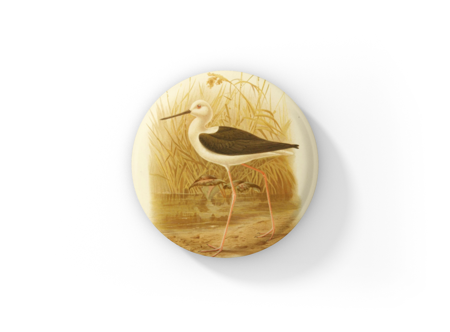 Long Legged Plover Bird Pin Back Button, Magnet, Keychain