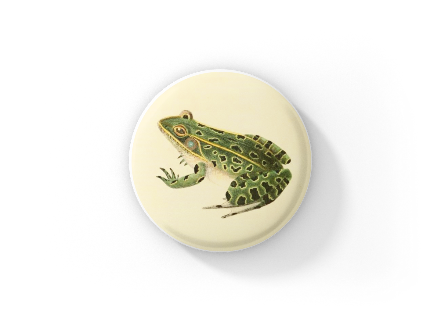 Leopard Frog Pin Back Button, Magnet, Keychain