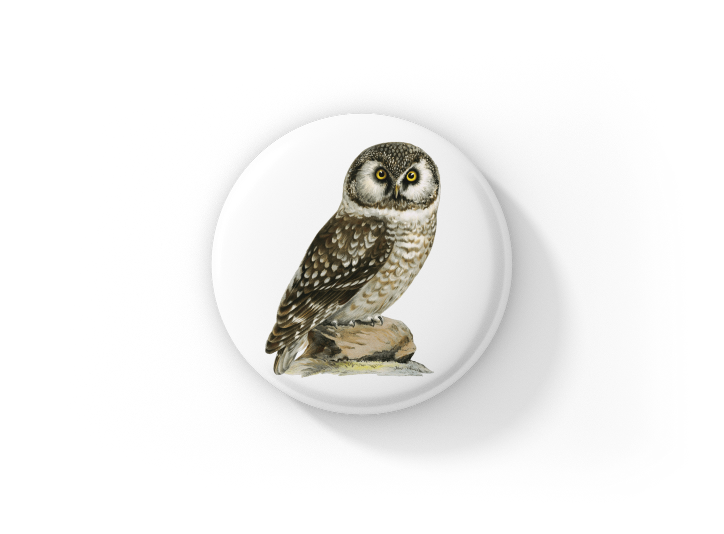 Boreal Owl Pin Back Button