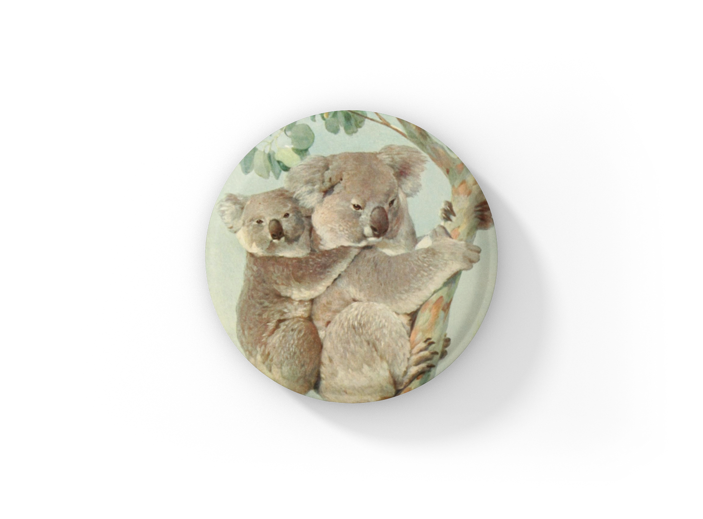 Koala Bear Pin Back Button, Magnet, Keychain