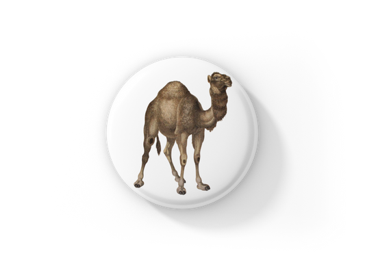 Camel Pin Back Button, Magnet, Keychain