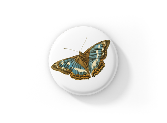 Butterfly Pin Back Button, Magnet, Keychain