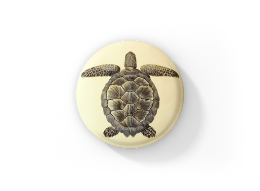 Sea Turtle Pin Back Button, Magnet, Keychain