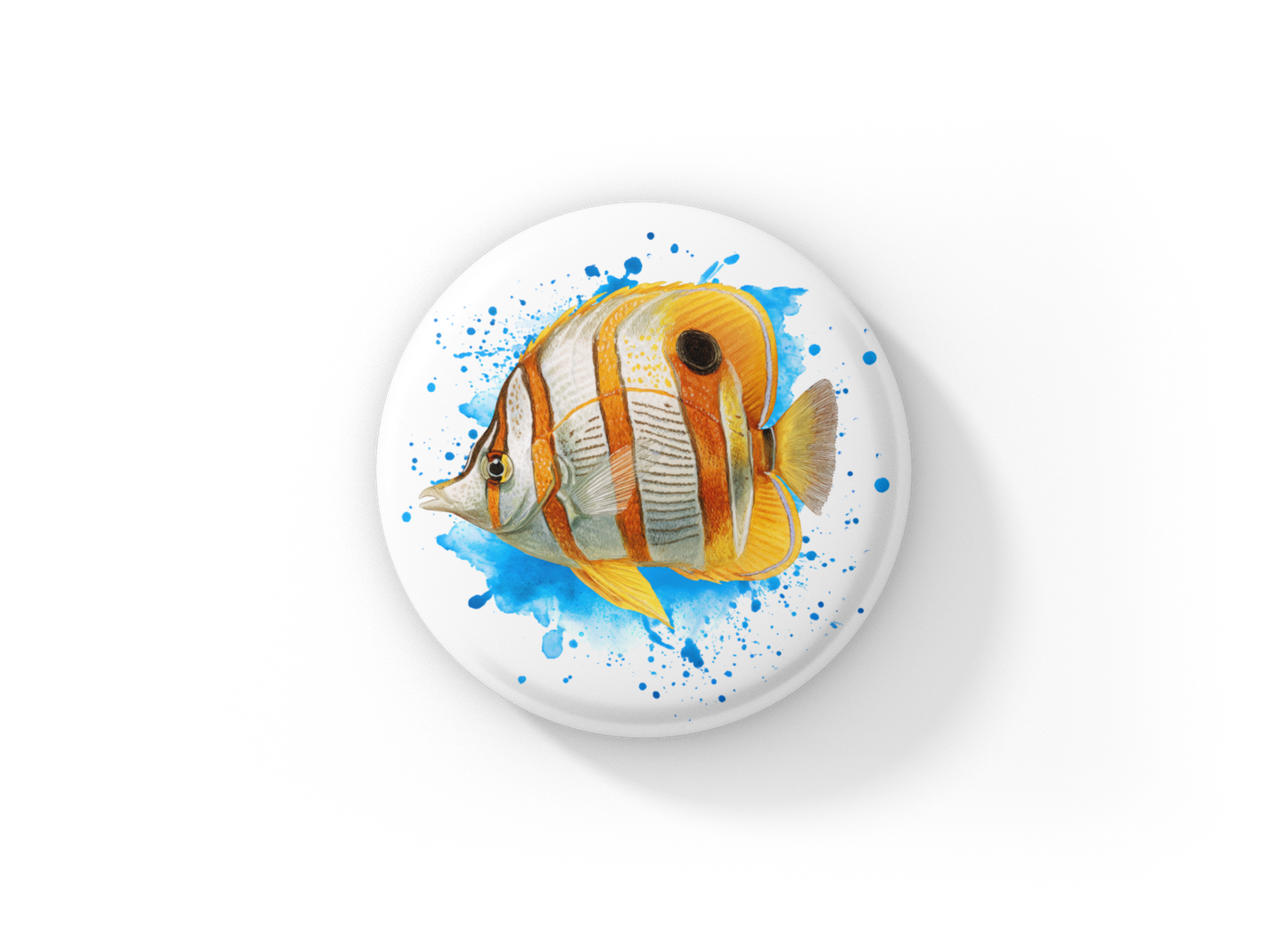 Copperband Butterflyfish Tropical Fish Pin Back Button, Magnet