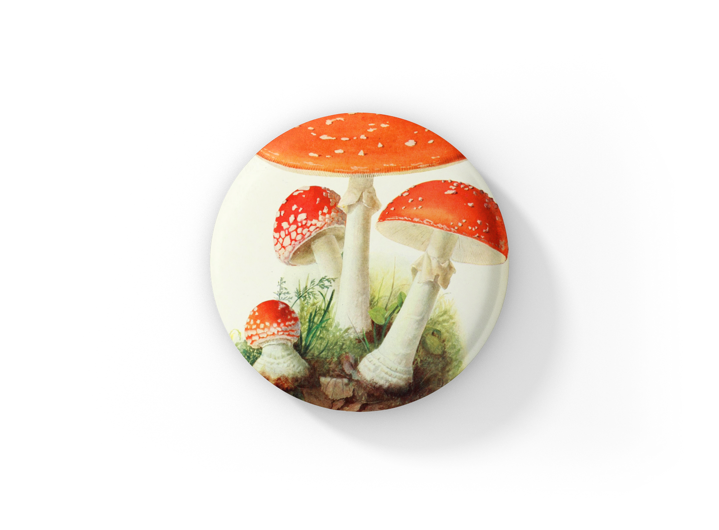 Mushroom Pin Back Button, Magnet, Keychain