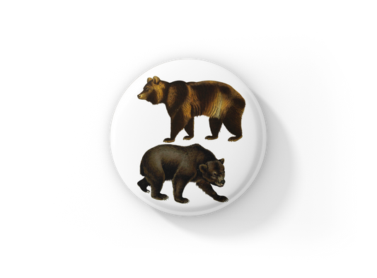 Bear Pin Back Button, Magnet, Keychain