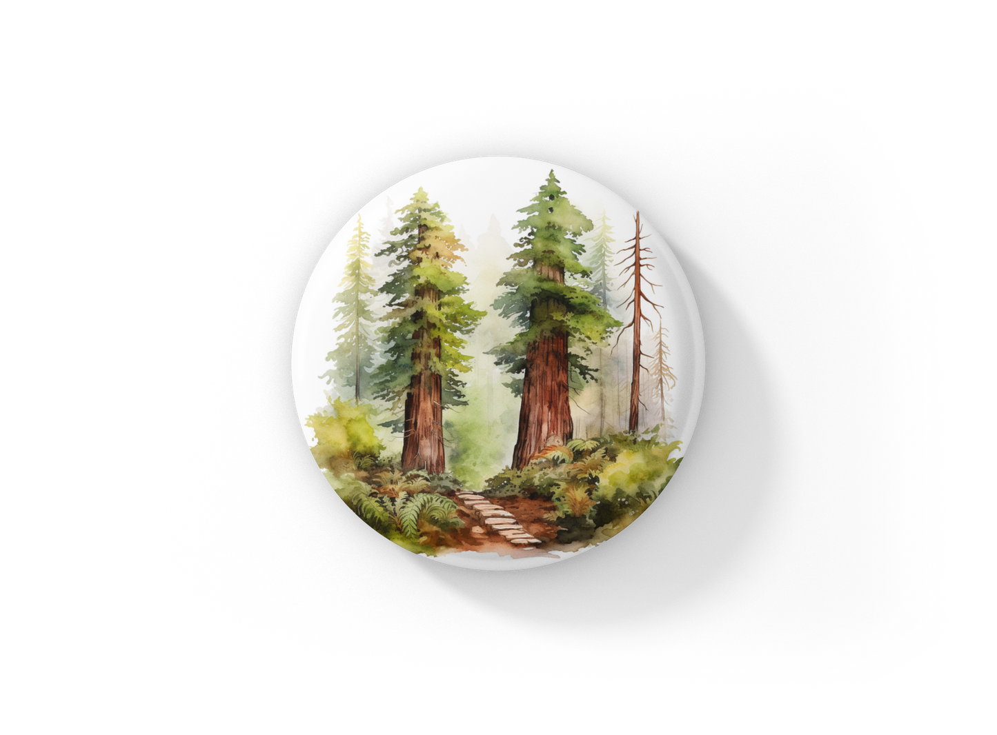 Redwood Forest 3 Pin Back Button, Magnet, Keychain