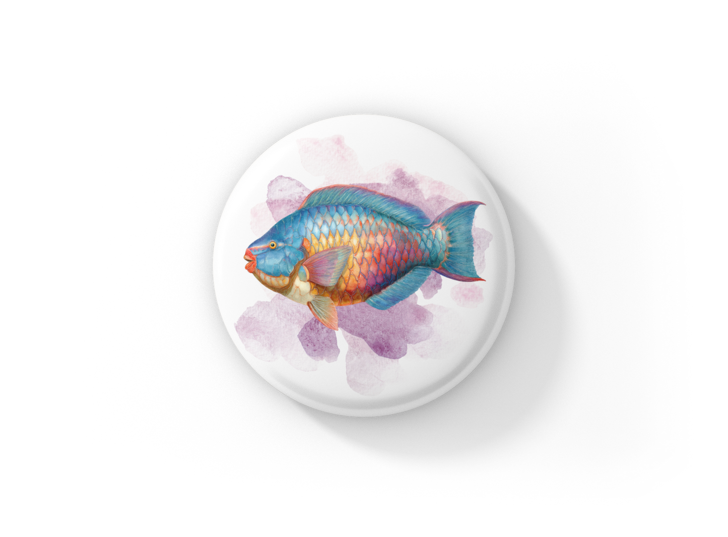 Parrotfish Tropical Fish Pin Back Button, Magnet