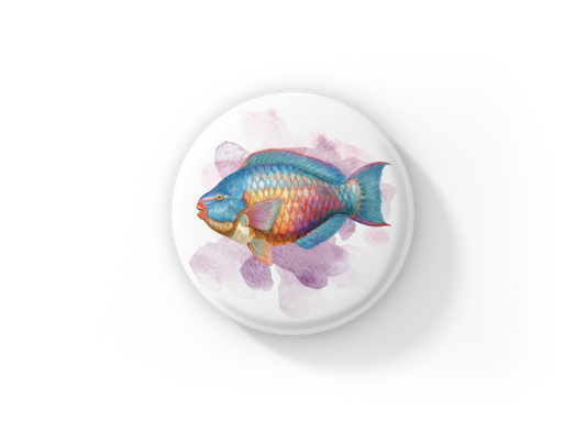 Parrotfish Tropical Fish Pin Back Button, Magnet