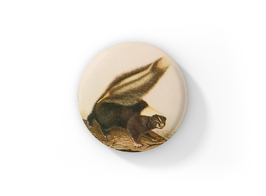 Skunk Pin Back Button