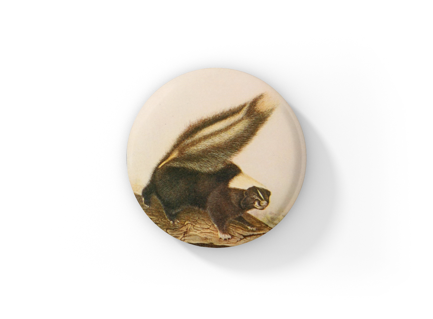 Skunk Pin Back Button, Magnet, Keychain