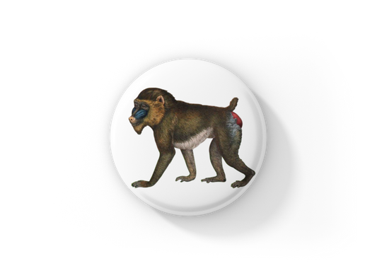 Baboon Pin Back Button, Magnet, Keychain