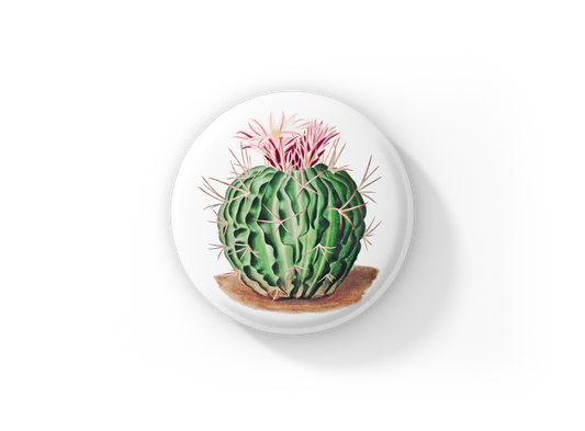 Cactus Pin Back Button, Magnet, Keychain