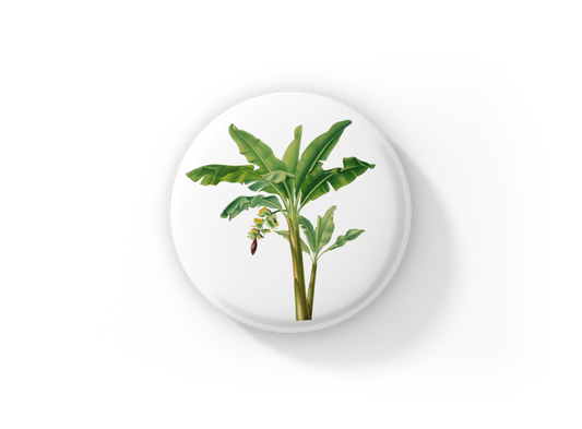 Banana Tree Pin Back Button, Magnet, Keychain