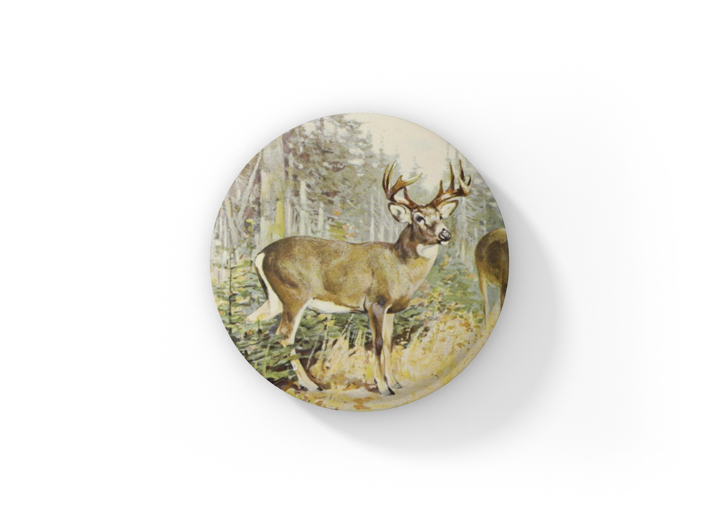 White Tail Deer Pin Back Button, Magnet, Keychain