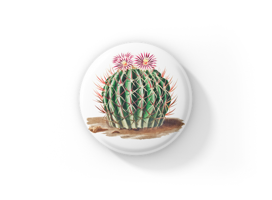 Cactus Pin Back Button, Magnet, Keychain