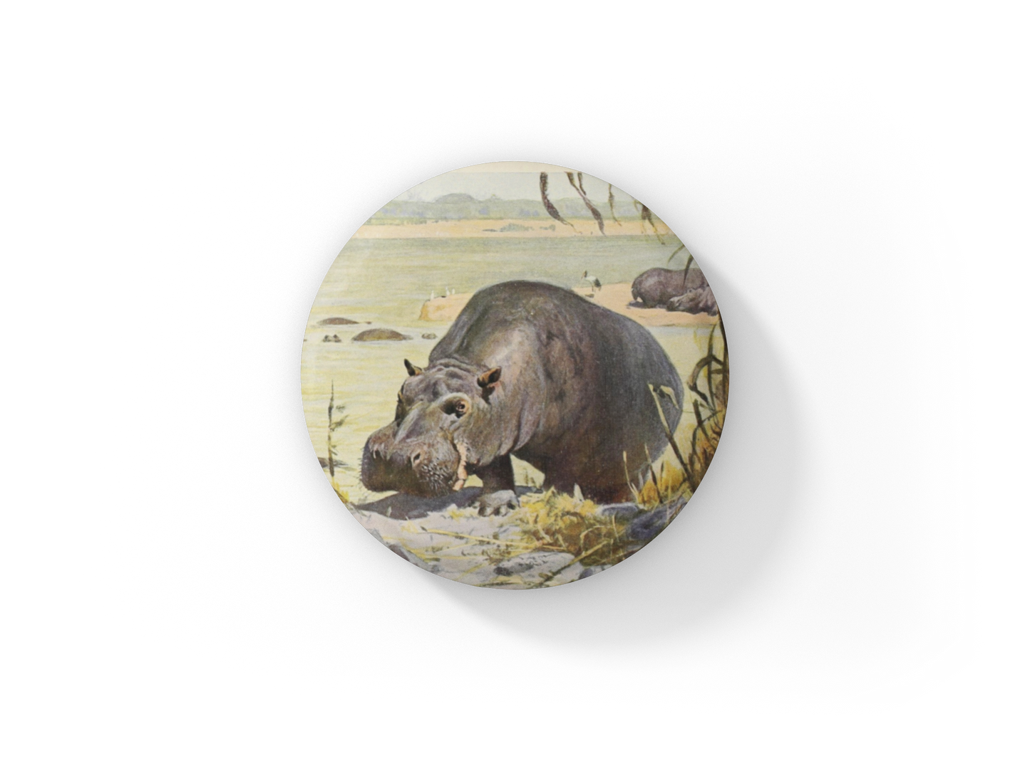 Hippo Pin Back Button, Magnet, Keychain