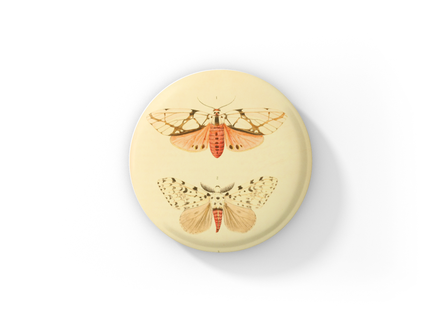 Pink Moth Pin Back Button