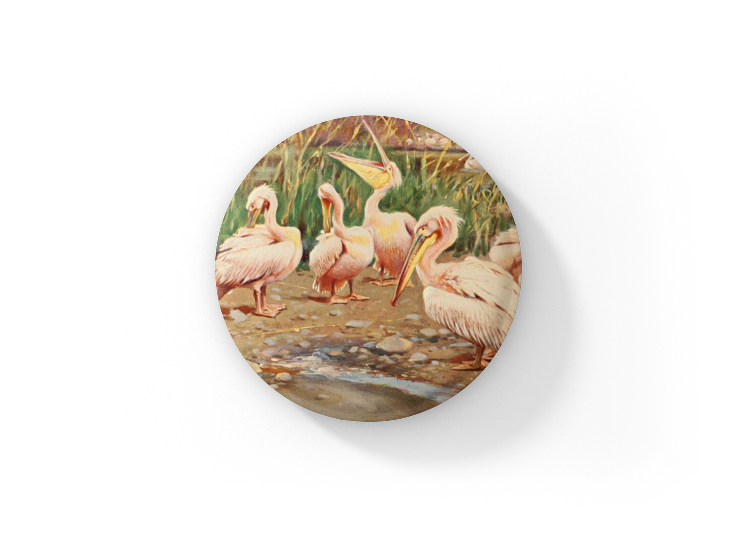 Pink Pelican Pin Back Button, Magnet, Keychain