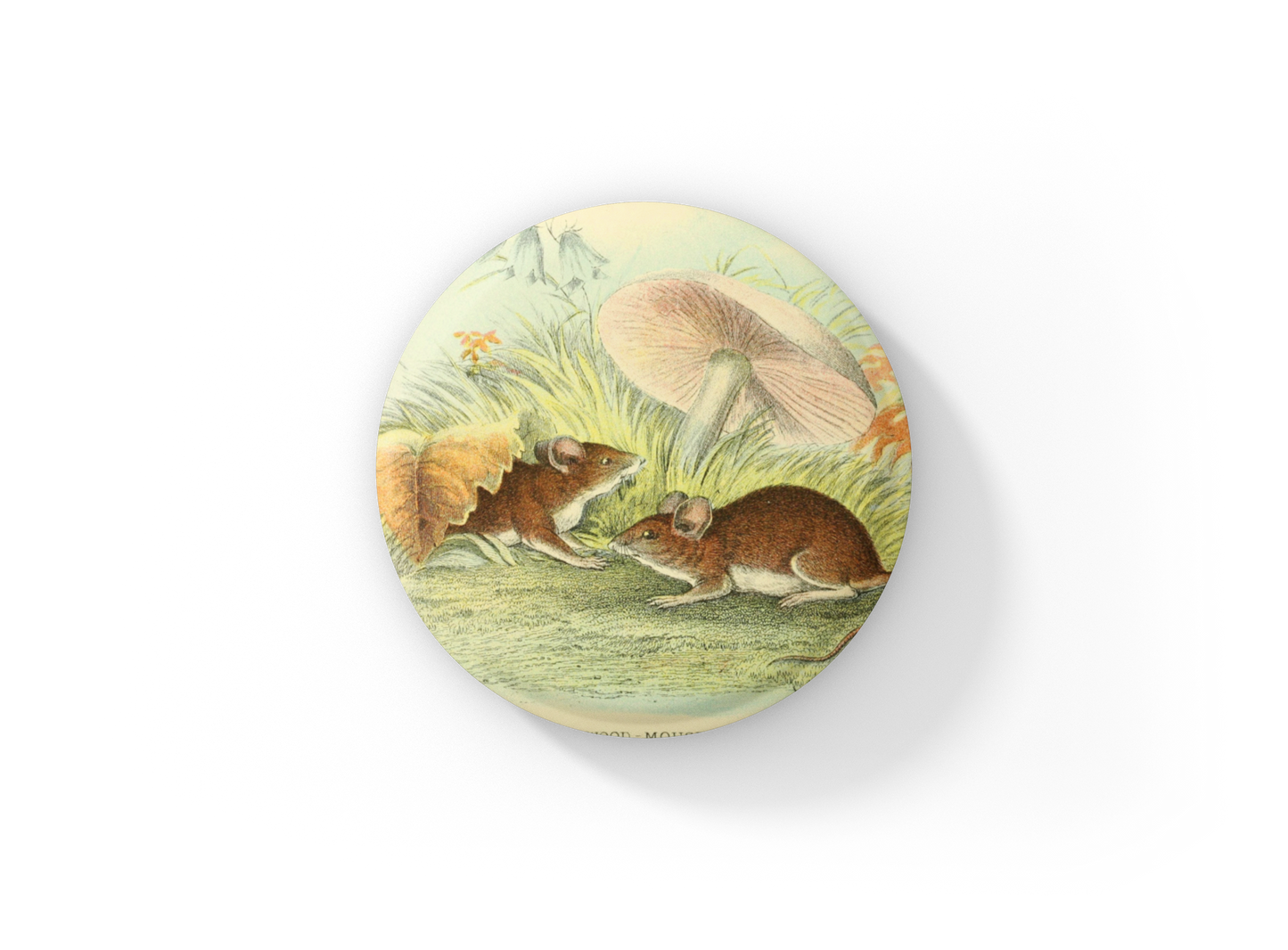 Field Mouse Pin Back Button, Magnet, Keychain