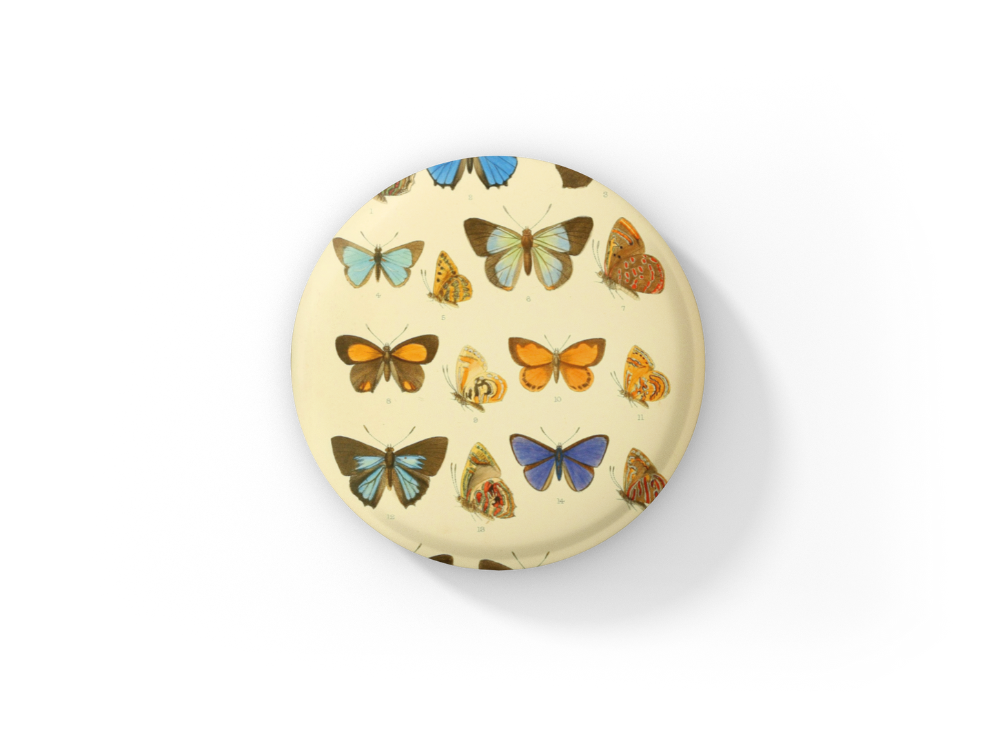 Butterfly Pin Back Button, Magnet, Keychain