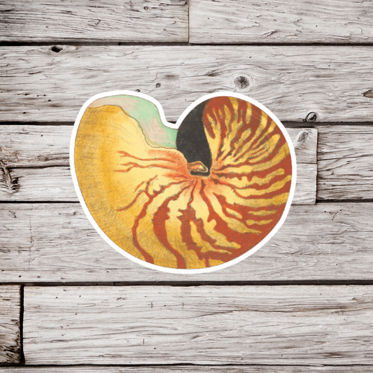 Nautilus Shell Sticker