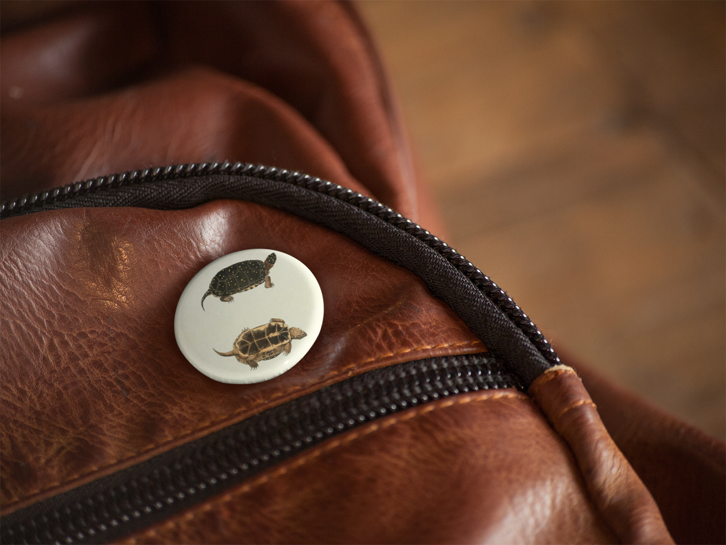 Spotted Turtle Pin Back Button, Magnet, Keychain