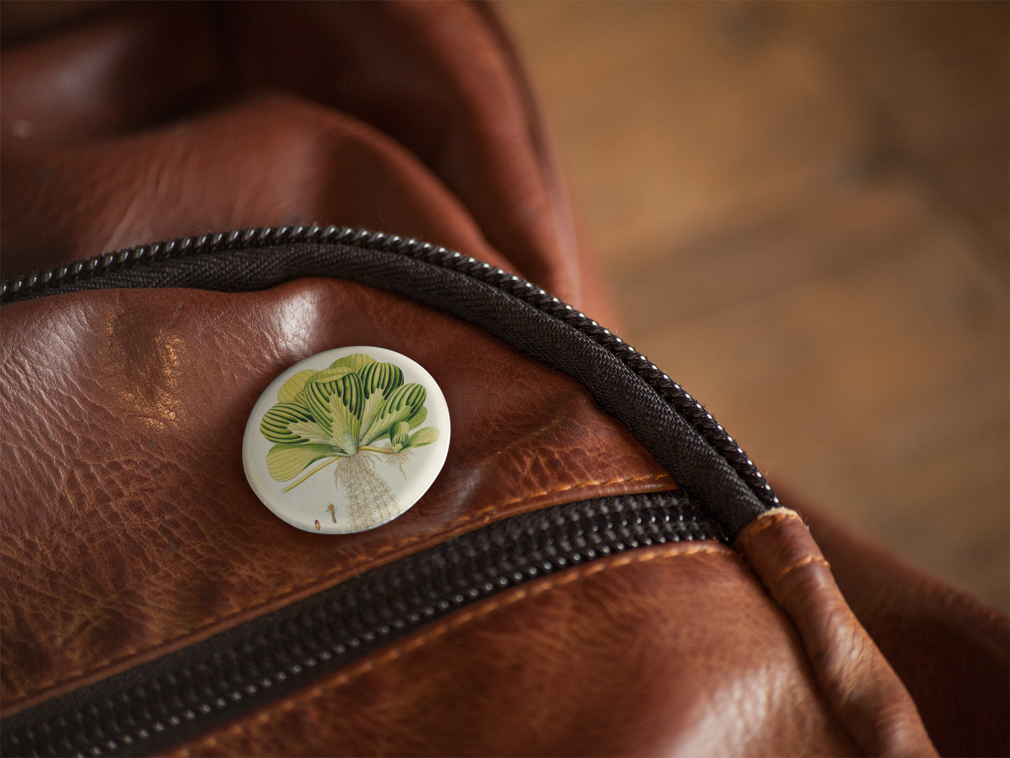 Duckweed Pin Back Button, Magnet, Keychain